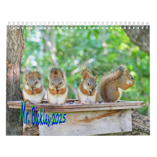 Calendrier M. Bickles Deux Pages Moyenne Blanc (Protection)