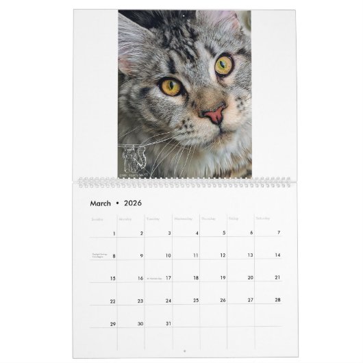 Calendrier M. Chiot-Chaussette Calendar (Mar 2026)