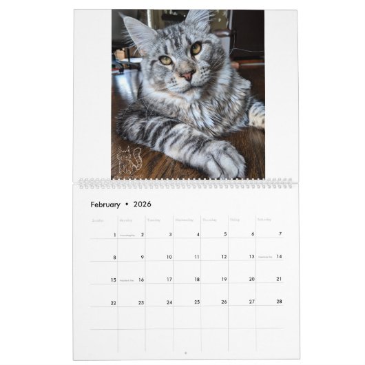 Calendrier M. Chiot-Chaussette Calendar (Feb 2026)