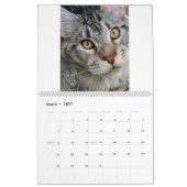 Calendrier M. Chiot-Chaussette Calendar (Mar 2027)