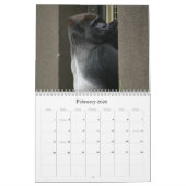 Calendrier M. Silverback (Feb 2026)