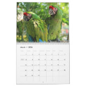 Calendrier Macaw Parrot Blue or Scarlet Hyacinth 2026 Bird (Mar 2026)