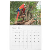 Calendrier Macaw Parrot Blue or Scarlet Hyacinth 2026 Bird (Feb 2026)