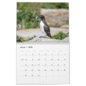 Calendrier Machias Seal Island (Puffins) 2026 (Mar 2026)