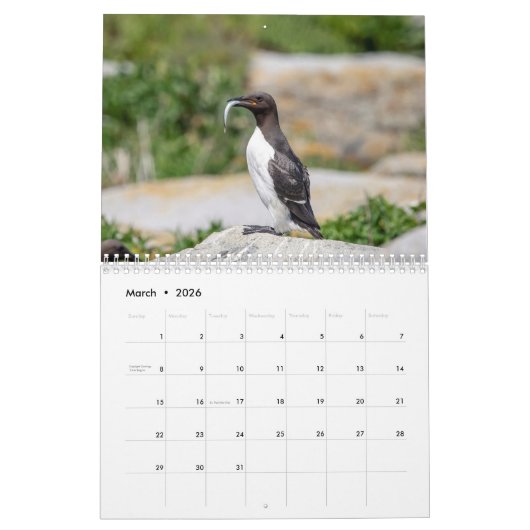 Calendrier Machias Seal Island (Puffins) 2026 (Mar 2026)