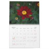 Calendrier Mad About Mum, 2008 (Mar 2027)