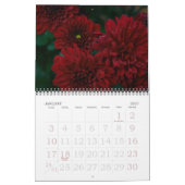 Calendrier Mad About Mum, 2008 (Jan 2027)