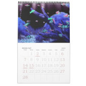 Calendrier Magic Blue 2011 (Feb 2027)