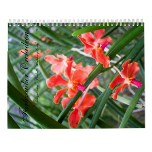 Calendrier Magie des orchidées