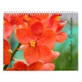 Calendrier Magie des orchidées (Protection)