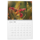 Calendrier magnifique de photo de lis (Jan 2026)