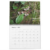 Calendrier - Magnifiques champignons (Feb 2027)