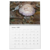 Calendrier - Magnifiques champignons (Jan 2027)
