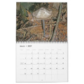 Calendrier - Magnifiques champignons (Mar 2027)