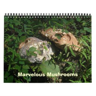 Calendrier - Magnifiques champignons