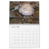 Calendrier - Magnifiques champignons (Jan 2026)