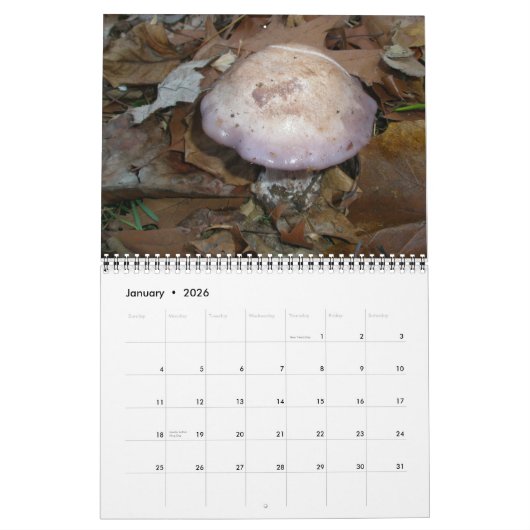 Calendrier - Magnifiques champignons (Jan 2026)