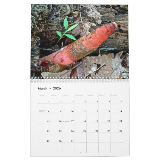 Calendrier - Magnifiques champignons (Mar 2026)