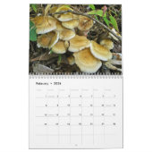 Calendrier - Magnifiques champignons (Feb 2026)