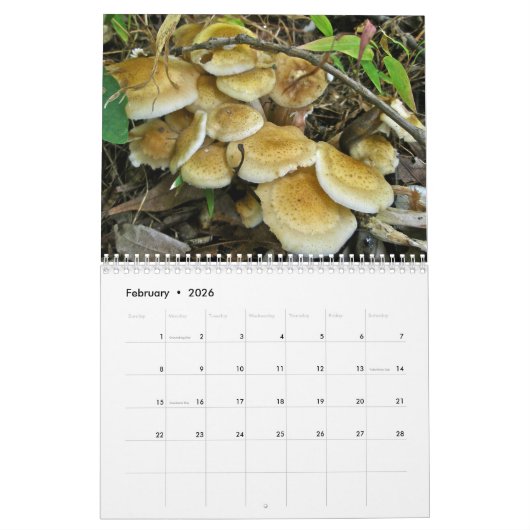 Calendrier - Magnifiques champignons (Feb 2026)