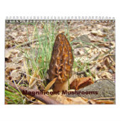 Calendrier - Magnifiques champignons (Protection)