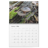 Calendrier - Magnifiques champignons (Jan 2026)