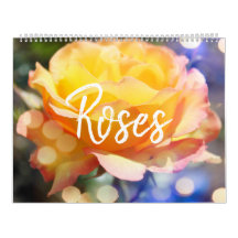 Magnifiques fleurs de rose