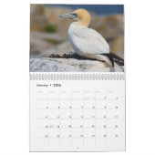 Calendrier Maine Attractions 2026-2027 Calendar (Jan 2026)