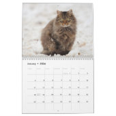 Calendrier Maine Coon Kitty Cat Cute (Jan 2026)