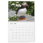 Calendrier Maine’s Atlantic Puffins: Coasting Into 2026  (Mar 2026)