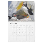 Calendrier Maine’s Atlantic Puffins: Coasting Into 2026  (Feb 2026)