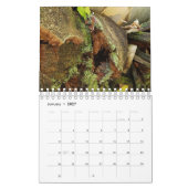 Calendrier Maisons de fées trouvées dans la nature (Jan 2027)