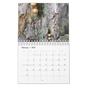 Calendrier Maisons de fées trouvées dans la nature (Feb 2027)