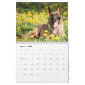 Calendrier malinois 2026 (Mar 2026)