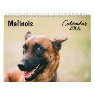 Calendrier malinois 2026