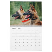 Calendrier malinois 2026 (Jan 2027)