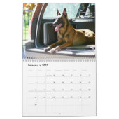 Calendrier malinois 2026 (Feb 2027)