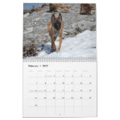 Calendrier Malinois belge (Feb 2027)