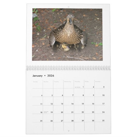 Calendrier Mallard Duckings (Jan 2026)