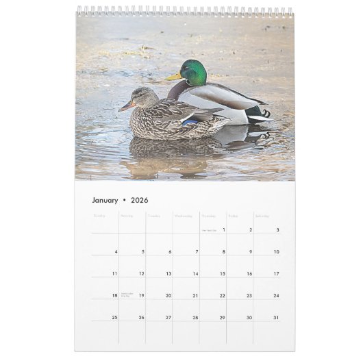 Calendrier Mallard Ducks 2026 (Jan 2026)