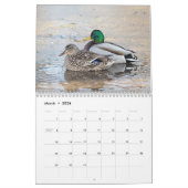 Calendrier Mallard Ducks 2026 (Mar 2026)