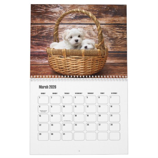 Calendrier maltais (Mar 2026)