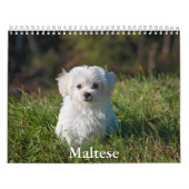 Calendrier maltais (Protection)