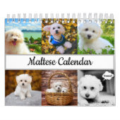 Calendrier maltais (Protection)