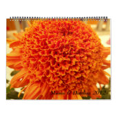 Calendrier Mamans et dahlias 2012 (Protection)