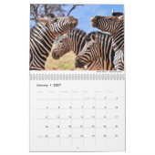 Calendrier Mammals 2021 par Chris Milligan (Jan 2027)