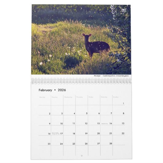 Calendrier Mammals 2021 par Chris Milligan (Feb 2026)