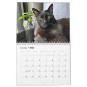 Calendrier Manny Halloween Cat 2026 Calendar (Jan 2026)