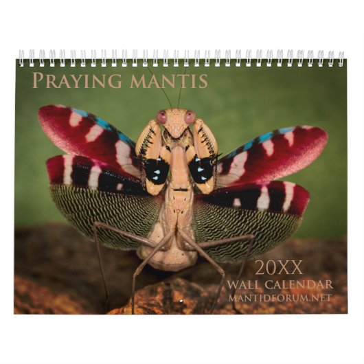 Calendrier Mantidforum haute résolution 2016 (Protection)