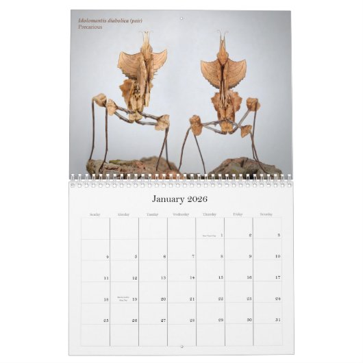 Calendrier Mantidforum haute résolution 2016 (Jan 2026)